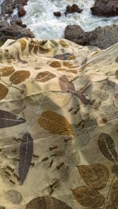 Ecoprint by zee